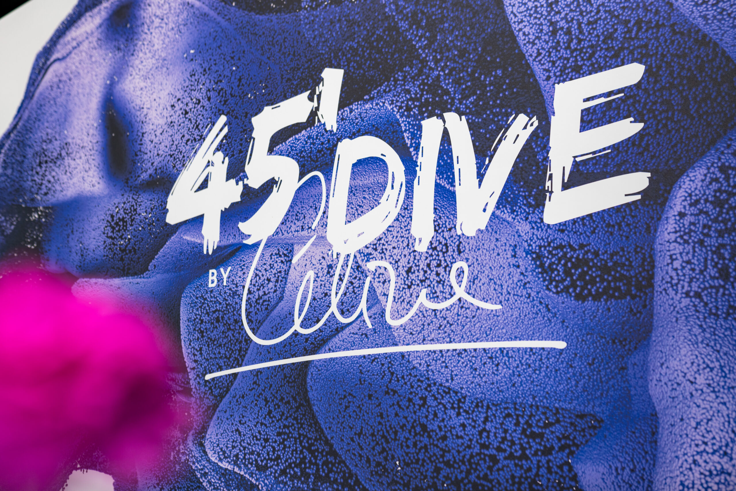 45'Dive by Celine Branding