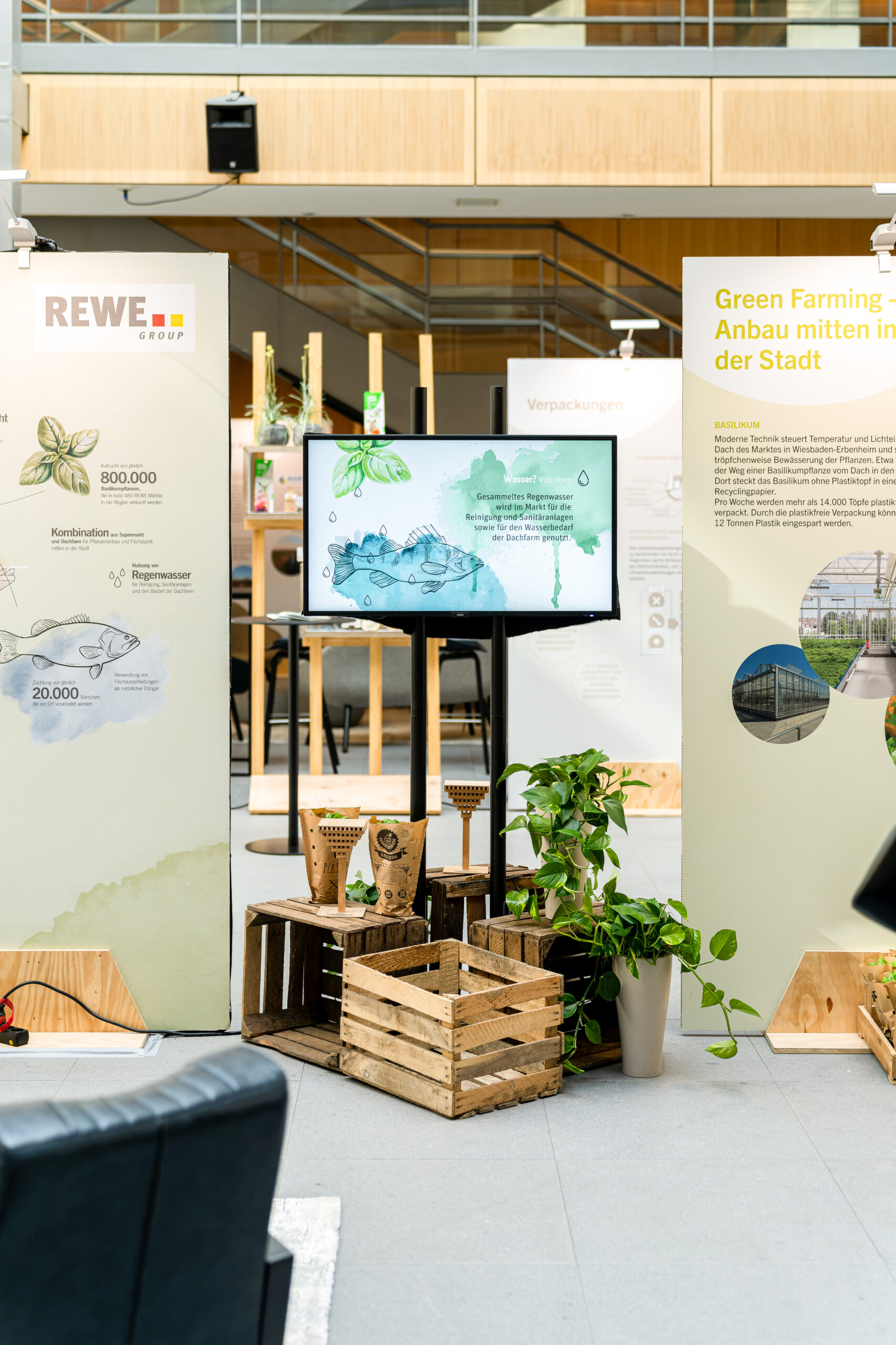 REWE Dialogforum Aufsteller Monitor Grafik